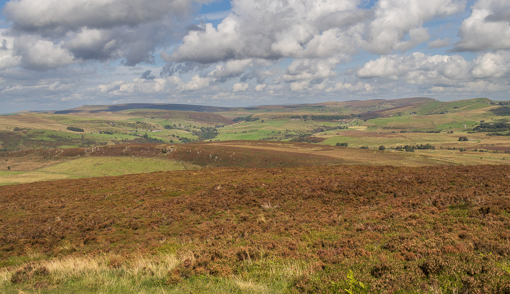 Shining Tor